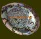 Green abalone