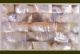 Black Mother of Pearl laminated sheets B grade