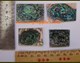 1oz Green abalone heart blanks mixed size 1mm thickness   