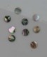 1pc Green abalone dot 5.5mm diameter x 1.3mm   