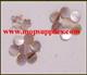 1pc Washboard mussel dot 7mm diameter x 1.3mm thickness