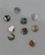 1pc Green abalone dot 6.35mm diameter x 1.3mm     