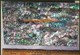 1pc Green abalone sheet dark 140mm x 240mm x 0.15mm