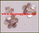 1pc Washboard mussel dot 9.52mm diameter x 1.3mm thickness