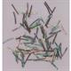 1 inch Paua strips 1.1mm Width  x 25mm Length x 1.3mm thickness x 130mm inside diameter