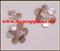 1pc Washboard mussel dot 10mm diameter x 1.3mm thickness