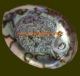 Green abalone