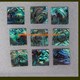 1oz Paua shell blanks mix size 1.5mm thickness