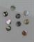 1pc Green abalone dot 12mm diameter x 1.3mm      