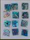1pc Paua shell blanks 25+mm x 25+mm x1.5mm   