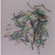 1 inch Paua strips 3.17mm Width  x 25mm Length x 1.3mm thickness x 115mm inside diameter