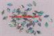 1pc Paua shell notched diamonds 11.5mm x 6 x 1.5mm thickness