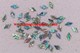 1pc Paua shell notched diamonds 14.5mm x 1.5mm