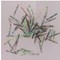 1 inch Paua strips 1mm Width  x 1.3mm thickness 