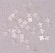 1pc White Mother of Pearl notched square 5.5mm x 1.5mm    