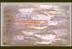 1pc Black abalone sheet 240mm x 140mm x 0.15mm