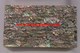 1pc Paua shell sheet B grade 240mm x 140mm x 0.15mm