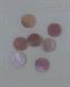 1pc Pink mussel dot 2mm diameter x 1.3mm