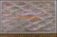 1pc Donkey ear abalone sheet 240mm x 140mm x 0.15mm