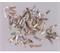 1 inch Red abalone strip 3.17mm Width x 25mm length x 1.3mm thickness x 120mm inside diameter