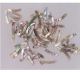 Red abalone curved strips